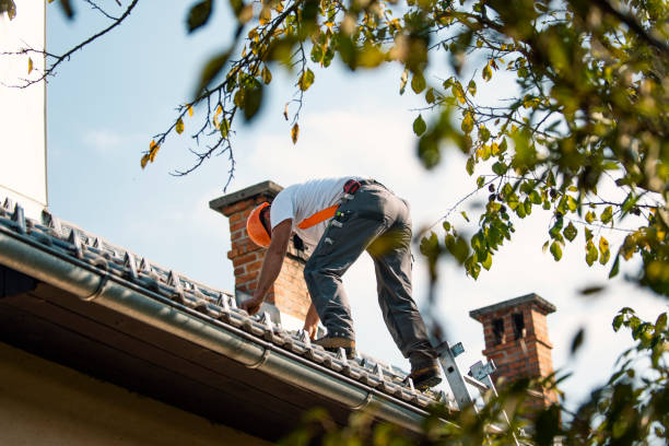 Best Metal Roofing Contractor  in Ashland, NE