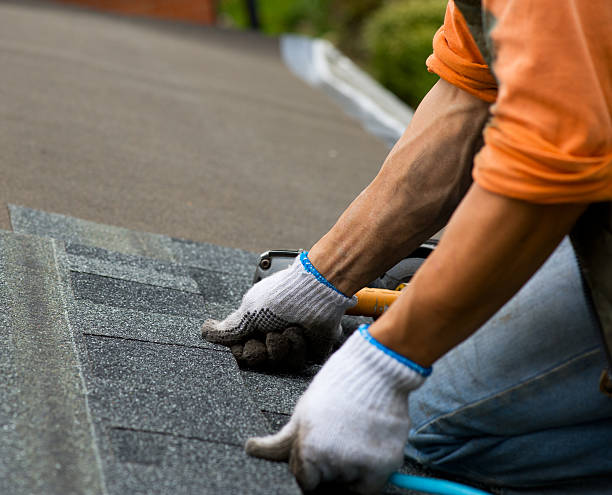 Best Gutter Installation and Roofing  in Ashland, NE