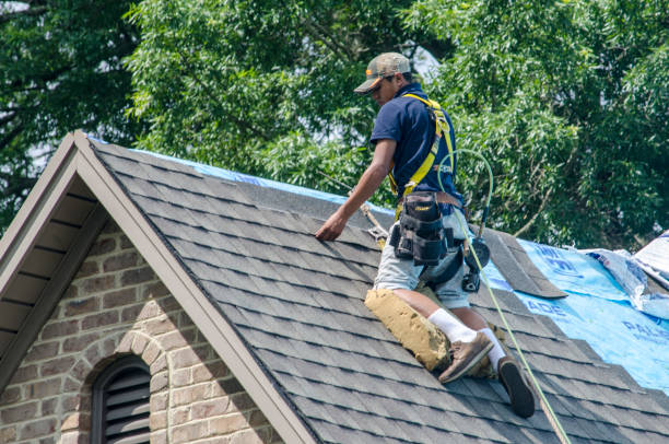 Best Metal Roofing Contractor  in Ashland, NE
